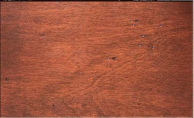 Heritage Cedar Distressed on Maple
